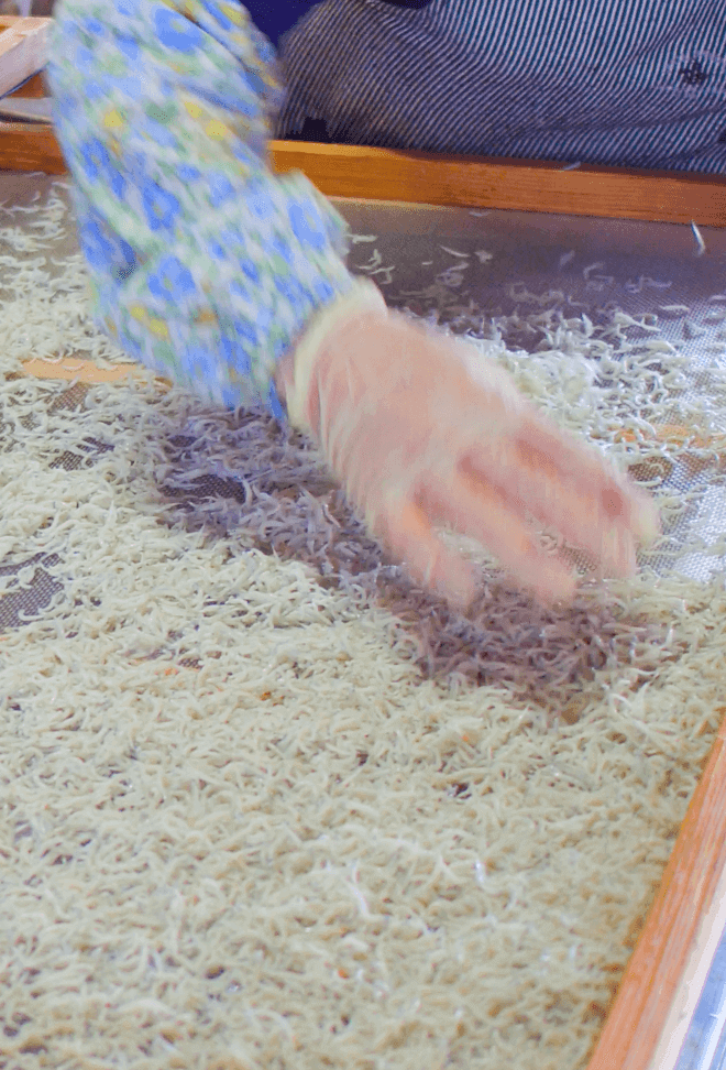 しらす干しを手作業で均等に散らす