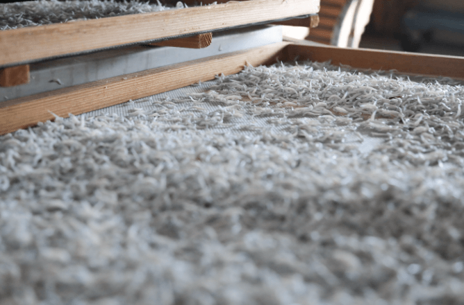 茹でたての釜あげしらす