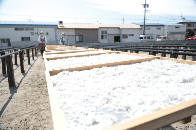 しらすの天日干し作業