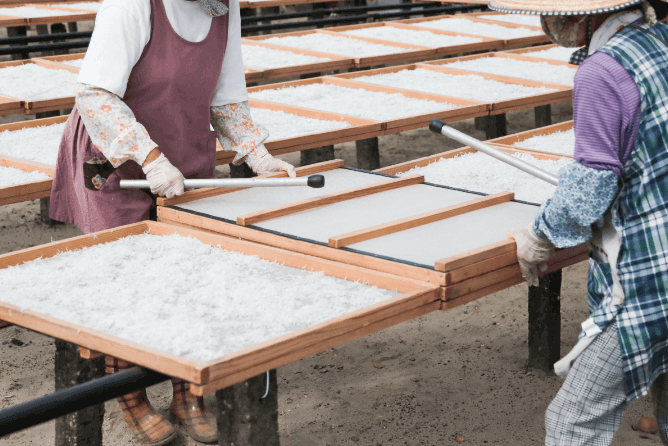 干しているしらすの天地を変え、満遍なく光を当てていきます。