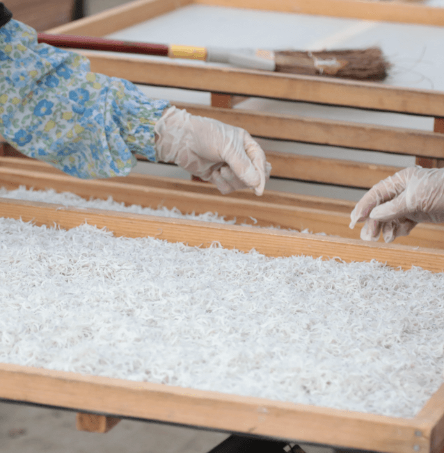 さらにしらすを干している作業