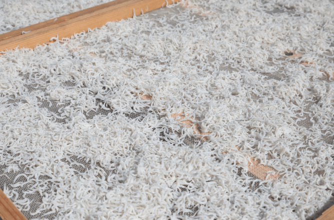 出来立ての上干ちりめん